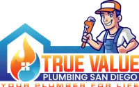 The logo for true value plumbing san diego shows a plumber holding a wrench.
